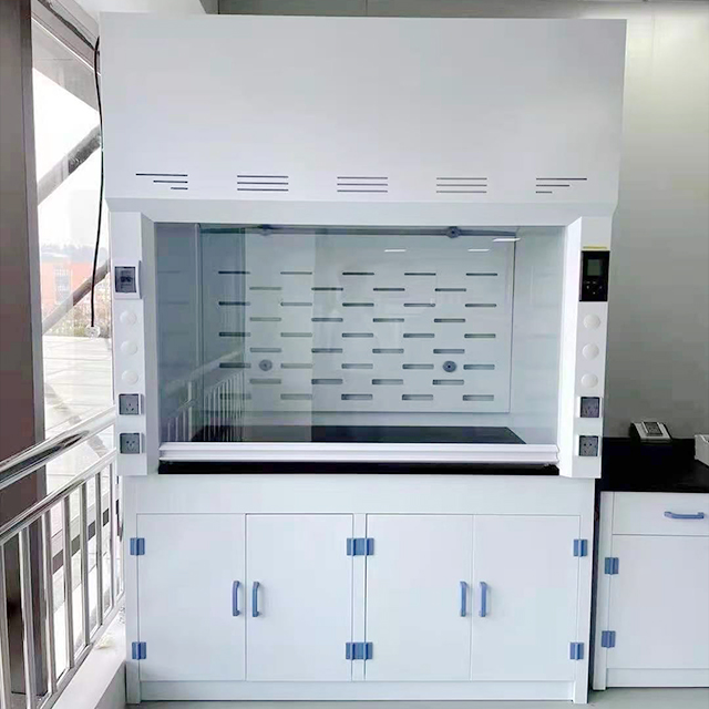 Enhancing Laboratory Safety: Importance of Anticorrosion in Chemical Fume Hoods