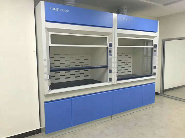 Ducted Lab Fume Hoods-2 